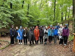 50380035411746167544662711668697317771354549n